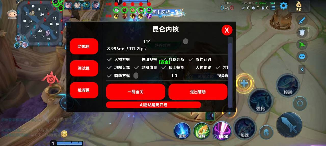 王者荣耀辅助《坚果》内部