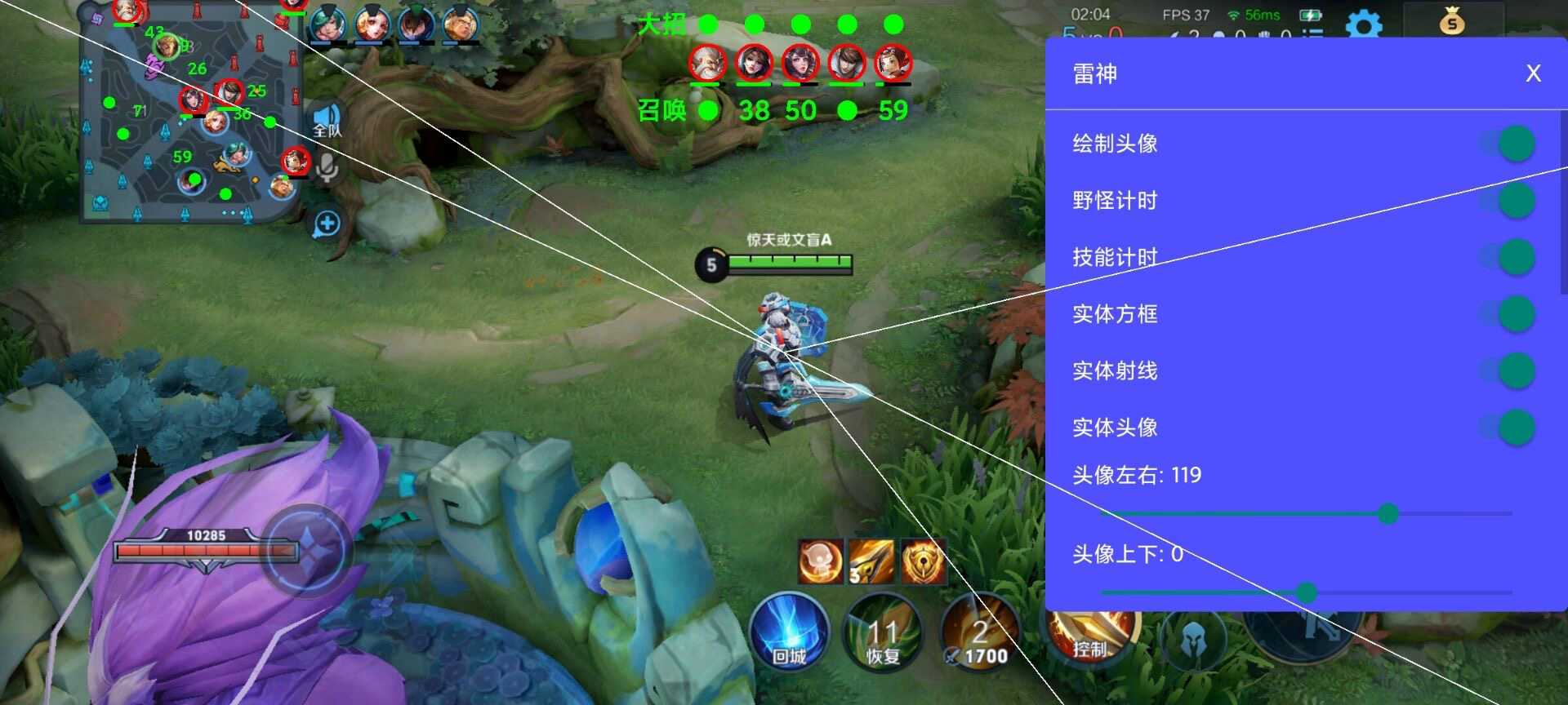 王者荣耀《JS内部》辅助